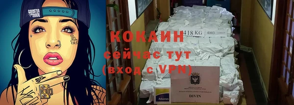 тгк Алексин