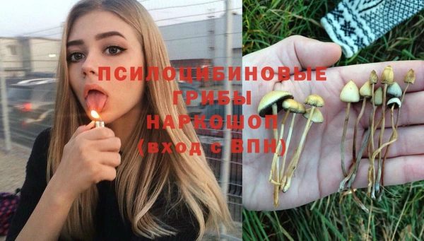 тгк Алексин