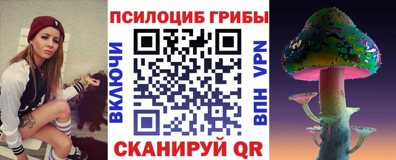 магазин наркотиков Павлово Псилоцибиновые грибы Psilocybine cubensis